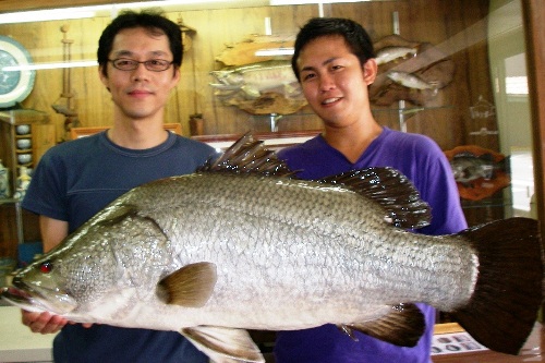 怪魚ハンターとアカメ: 剥製屋の業務日誌