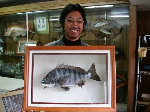 魚 剥製 ストライパー 50cm bri.uonbi.ac.ke